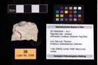 Foto (Objekt + Etikett) von Paguridae indet.  (NHMW-GEO-2017-0093-0024)